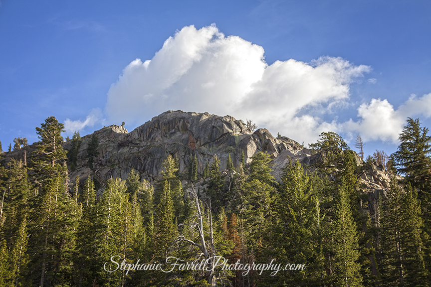 IMG_8409-sierra-mountain-puffy-clouds-highway-88-stephanie-farrell-2015-nature-photographer