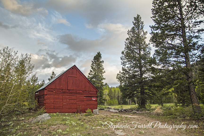 Red-Barn-Hope-Valley-California-Carson-stephanie-farrell-photography-2015