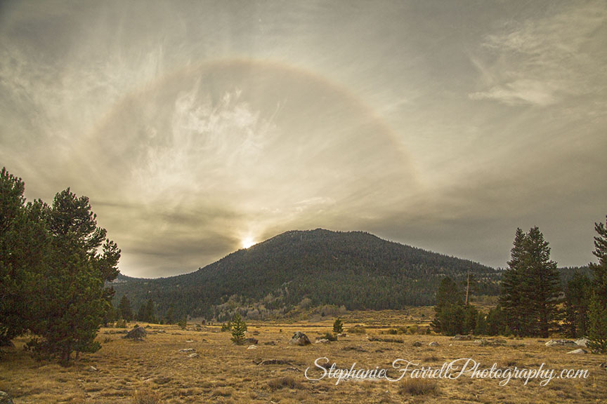 9929-hope-valley-rainbow-high-sierras-stephanie-farrell-2015
